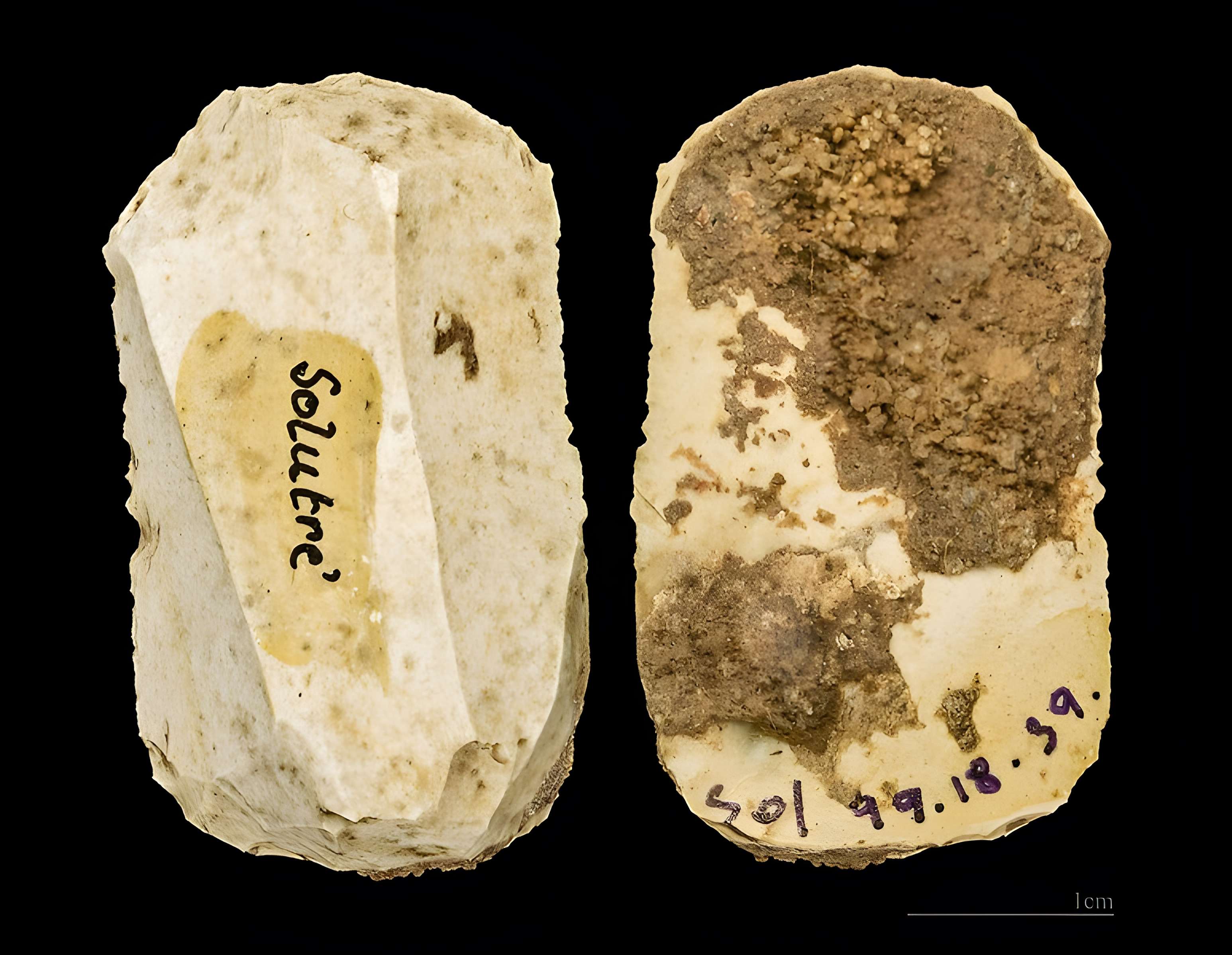 Gisement préhistorique de Solutré