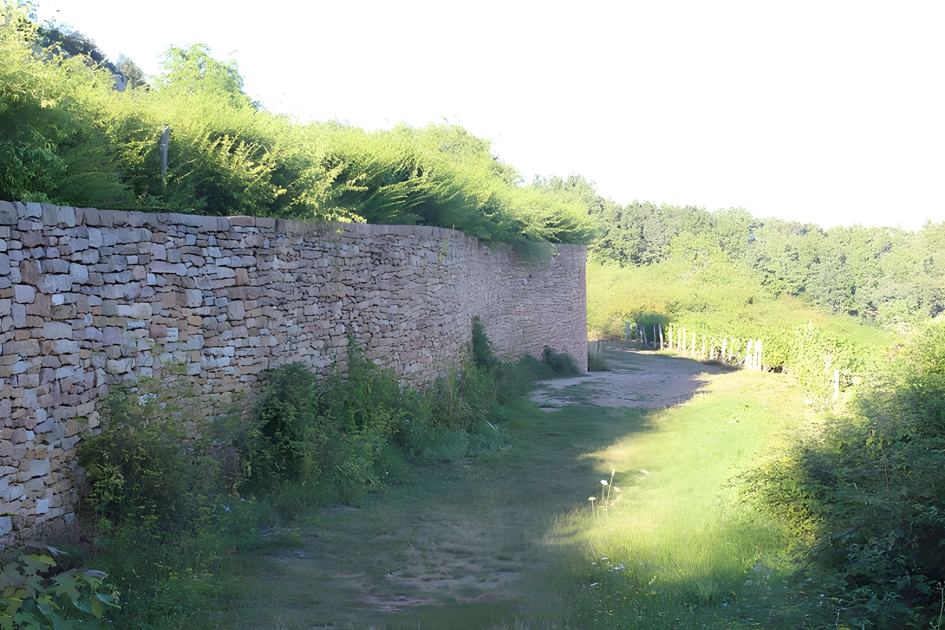 Gisement préhistorique de Solutré