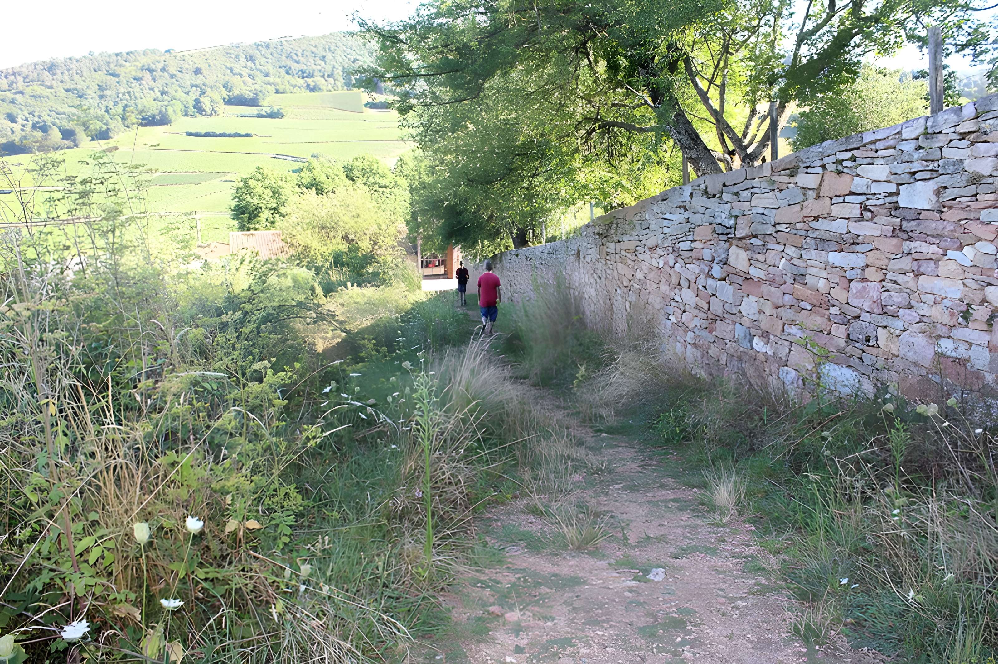 Gisement préhistorique de Solutré