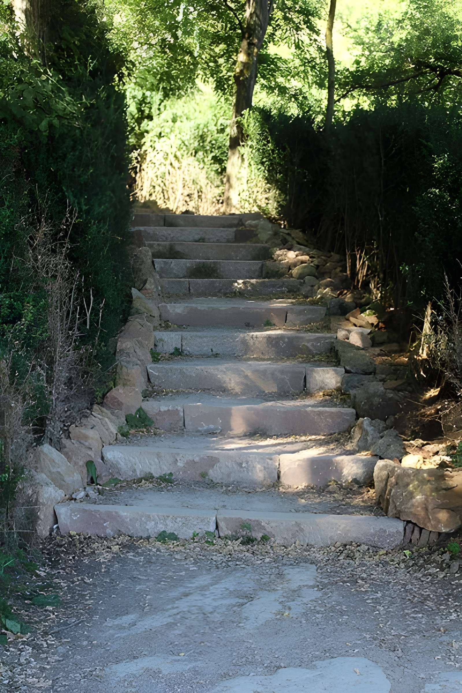 Gisement préhistorique de Solutré