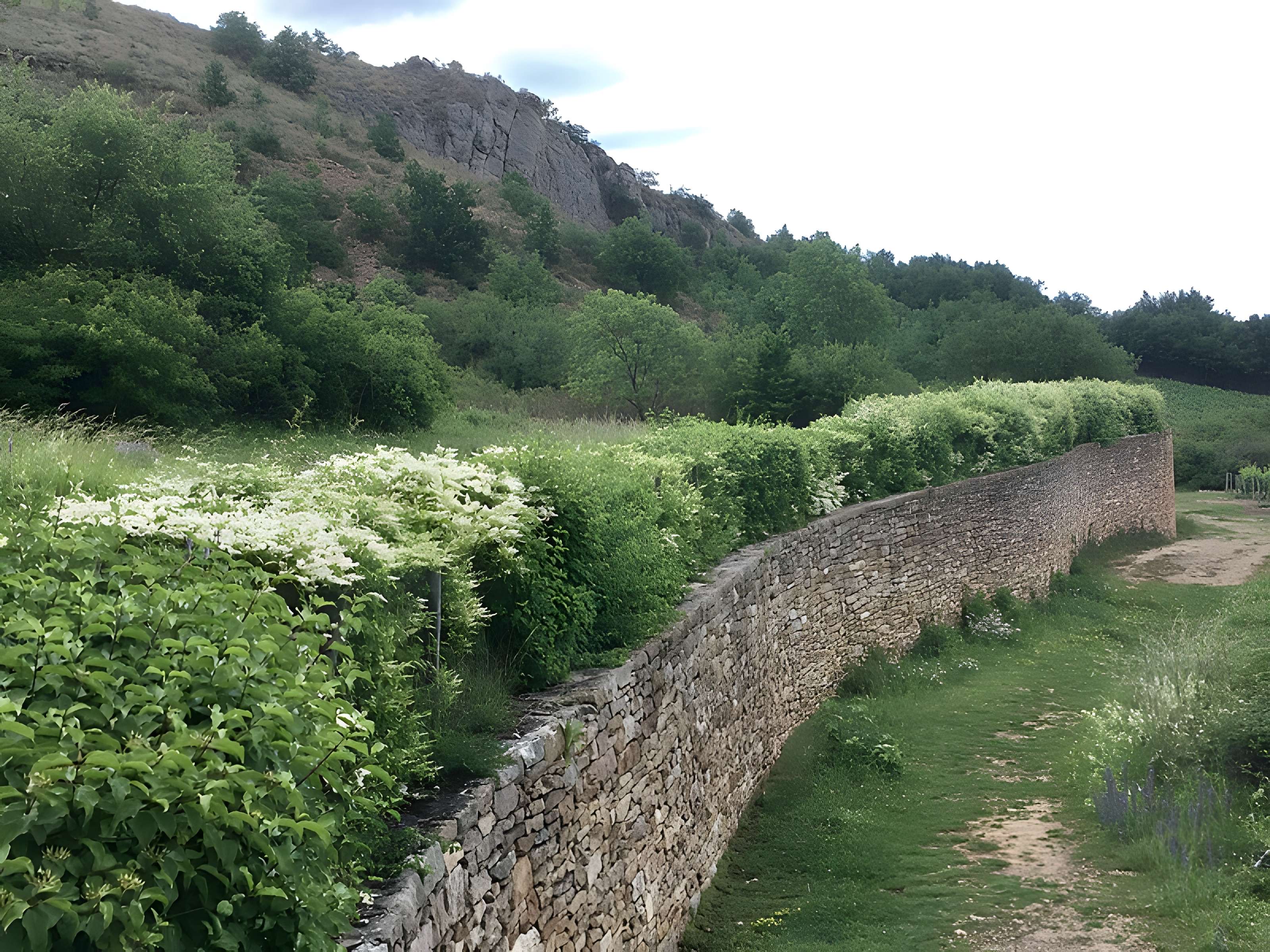 Gisement préhistorique de Solutré