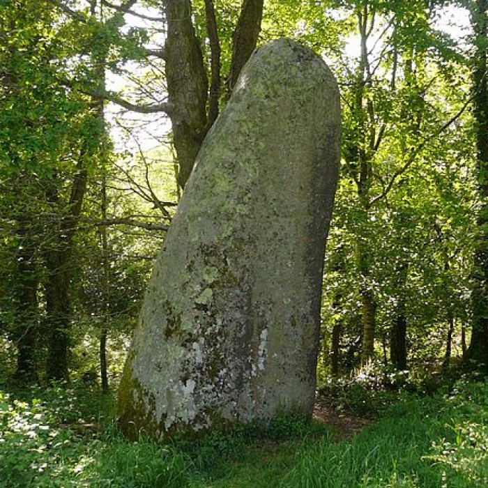 Photo de Grand menhir de Kerangosker à Pont-Aven