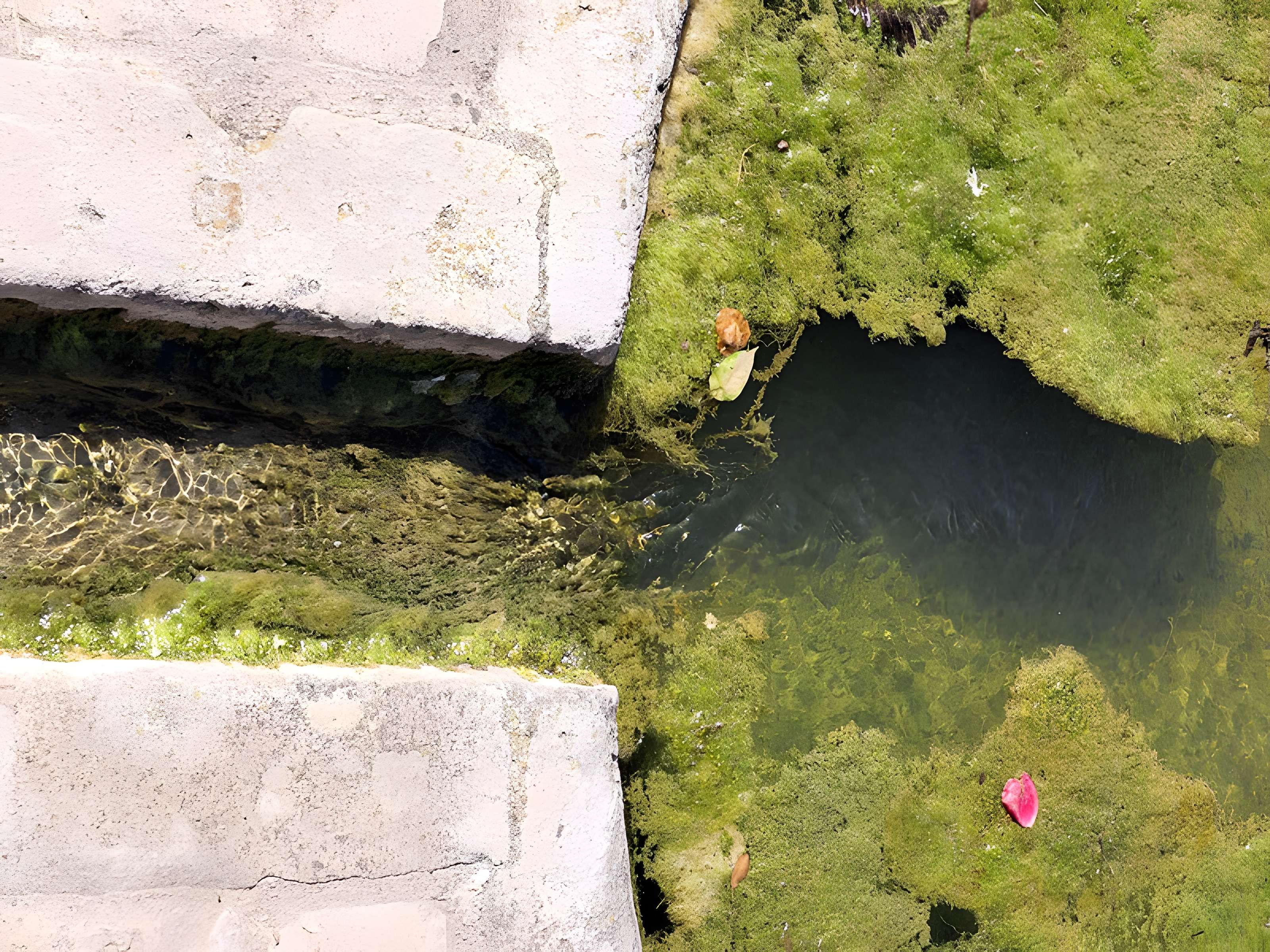 Fontaine-lavoir de Montagney