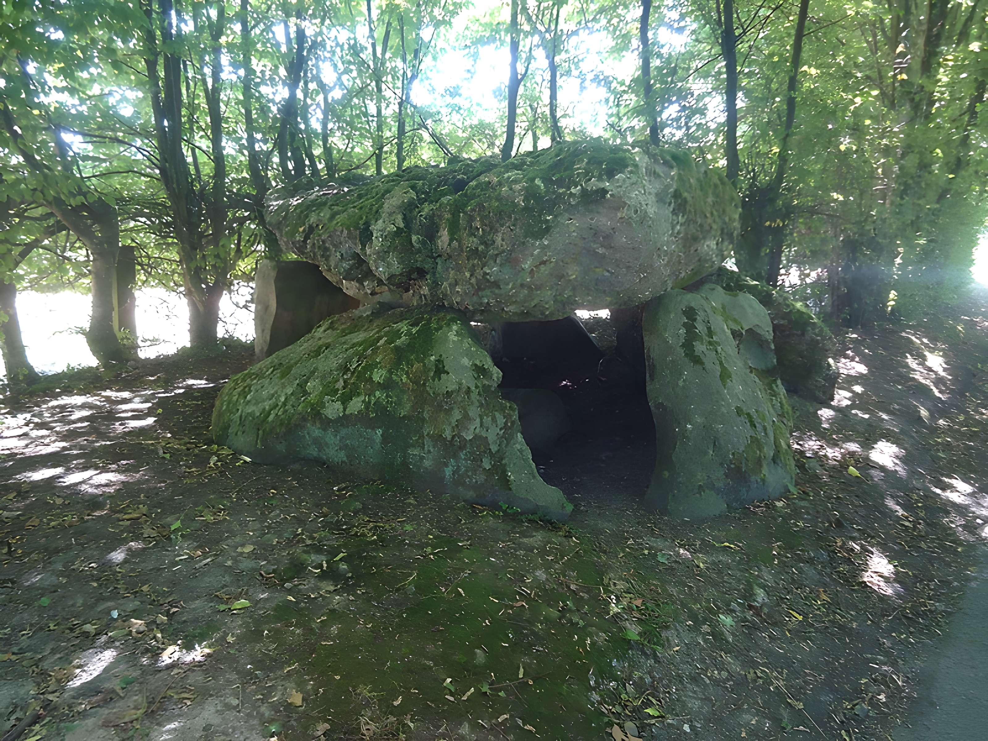 Grosse Pierre de Verneusses