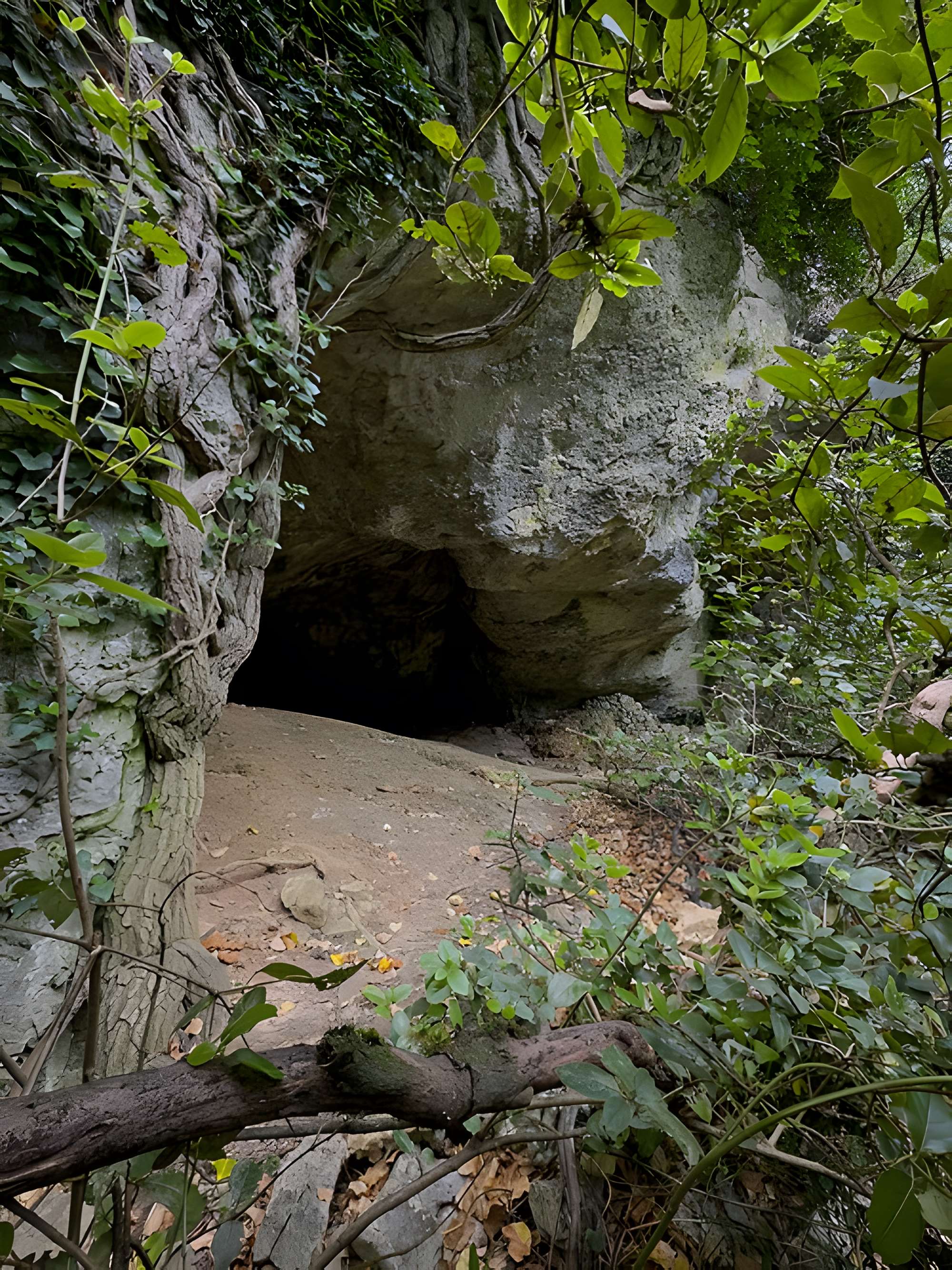 Grotte aux points d'Aiguèze