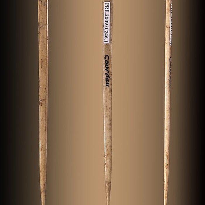 Photo de Grotte de lÉléphant à Gourdan-Polignan