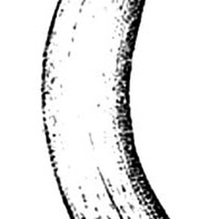 Photo de Grotte de lÉléphant à Gourdan-Polignan