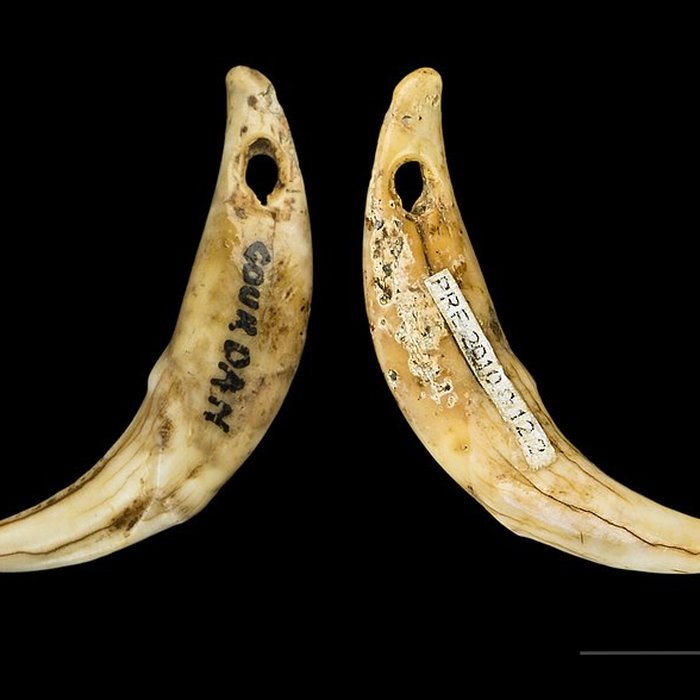 Photo de Grotte de lÉléphant à Gourdan-Polignan