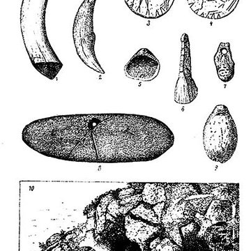 Grotte de lÉléphant à Gourdan-Polignan