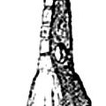 Grotte de lÉléphant à Gourdan-Polignan