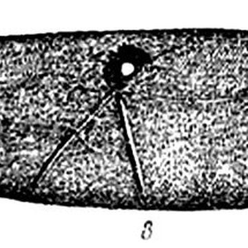 Grotte de lÉléphant à Gourdan-Polignan
