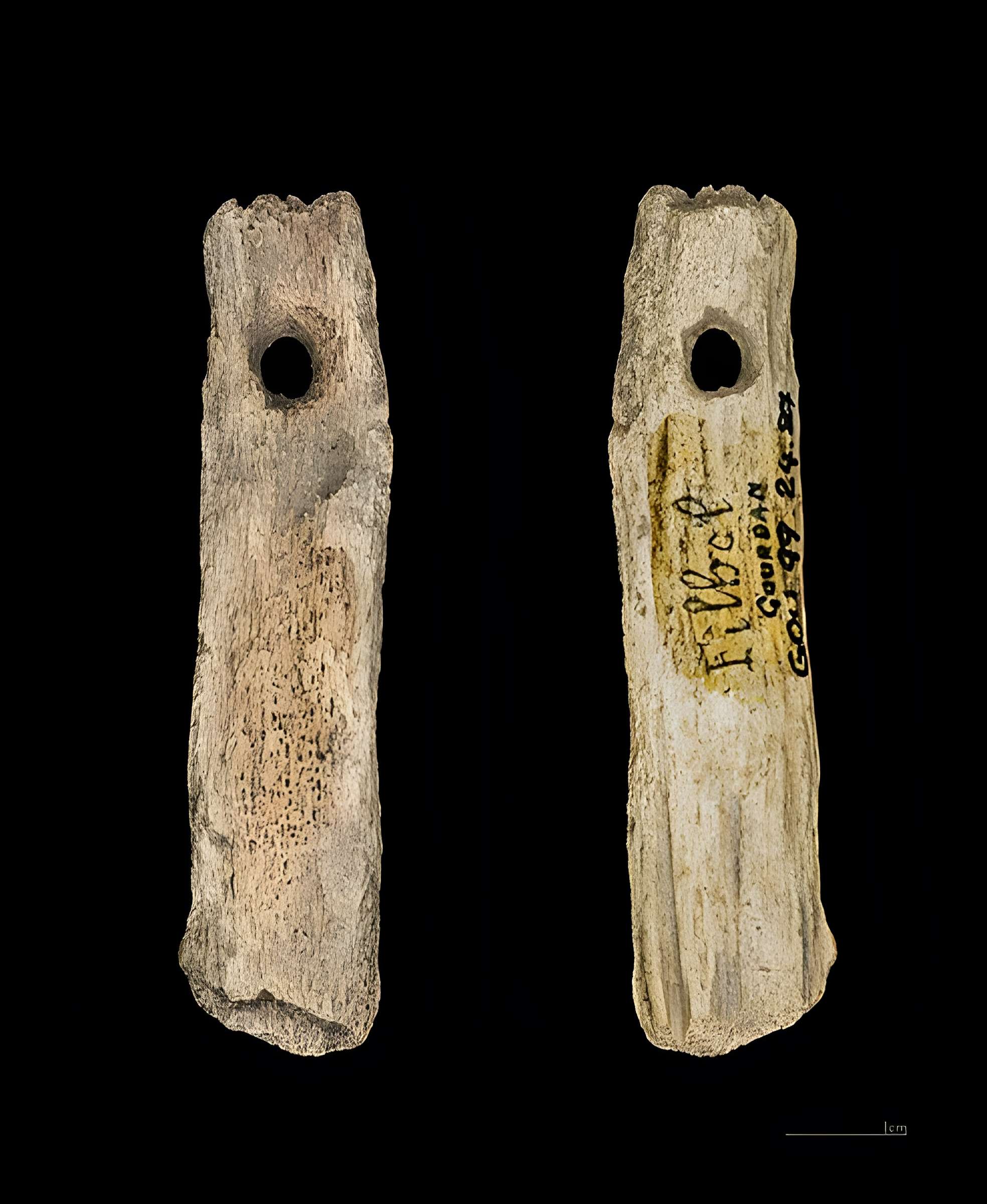 Grotte de l'Éléphant à Gourdan-Polignan