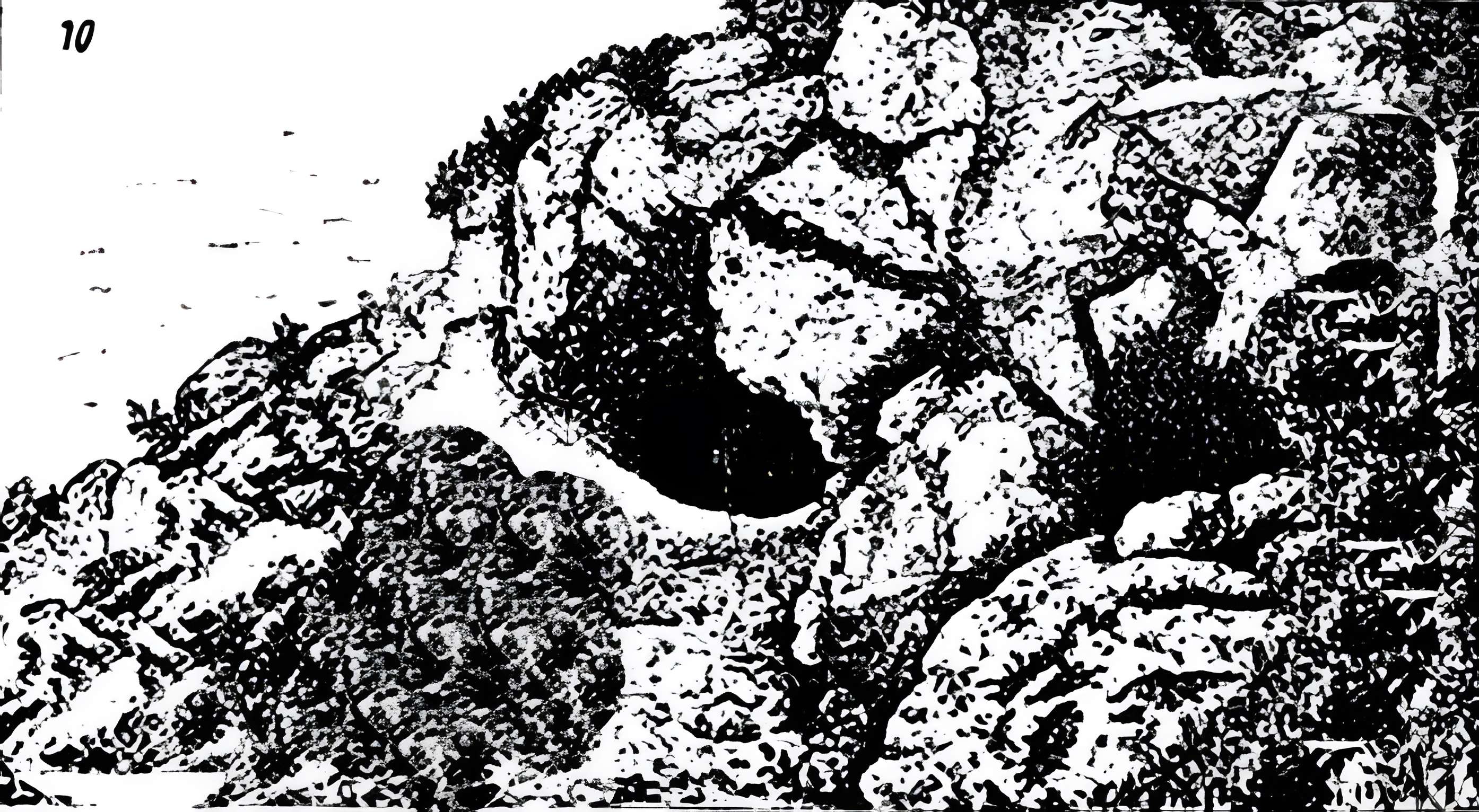 Grotte de l'Éléphant à Gourdan-Polignan