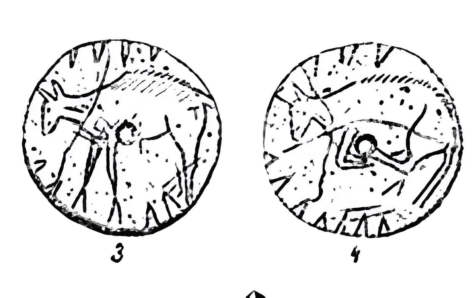Grotte de l'Éléphant à Gourdan-Polignan