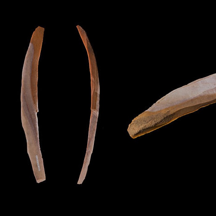 Photo de Grotte des Chevaux de Labastide