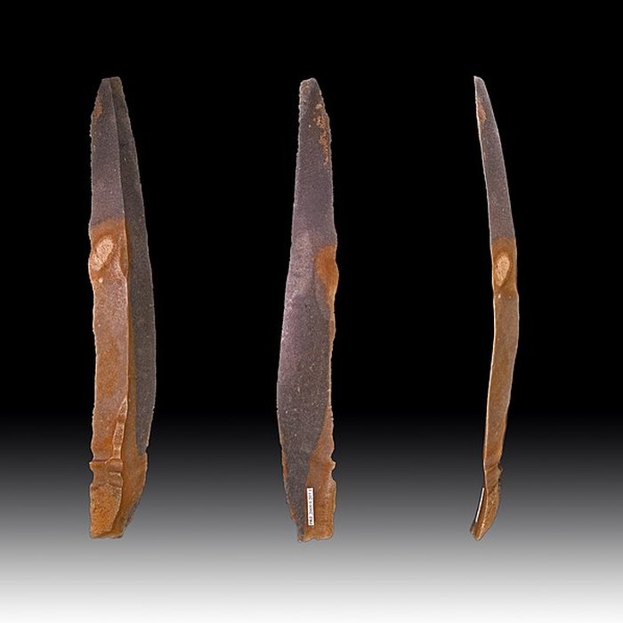 Photo de Grotte des Chevaux de Labastide