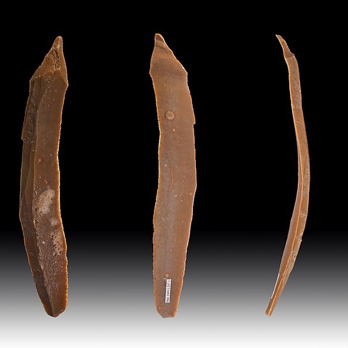 Photo de Grotte des Chevaux de Labastide