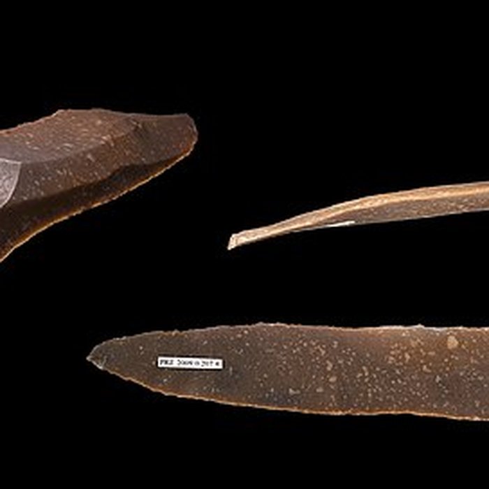 Photo de Grotte des Chevaux de Labastide