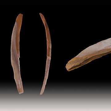 Grotte des Chevaux de Labastide