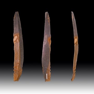 Grotte des Chevaux de Labastide