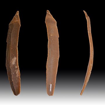 Grotte des Chevaux de Labastide