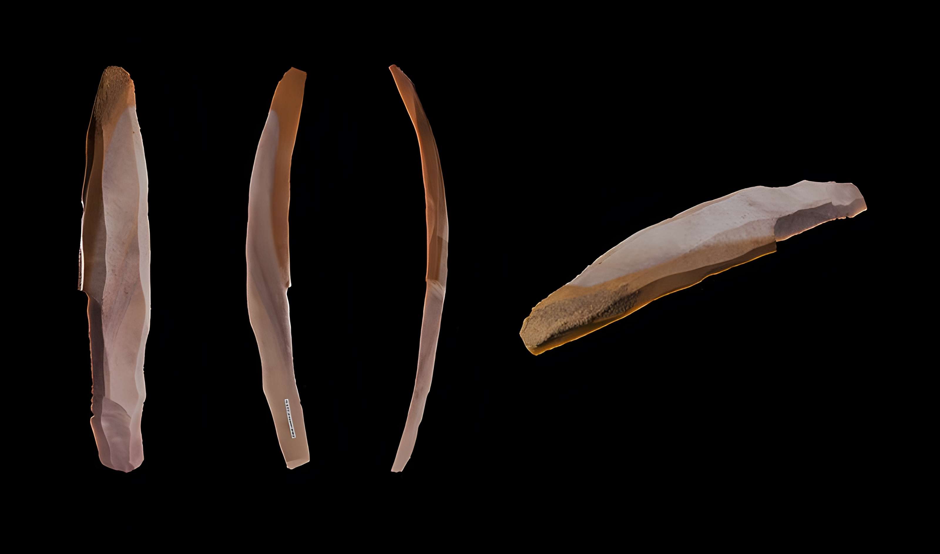 Grotte des Chevaux de Labastide 