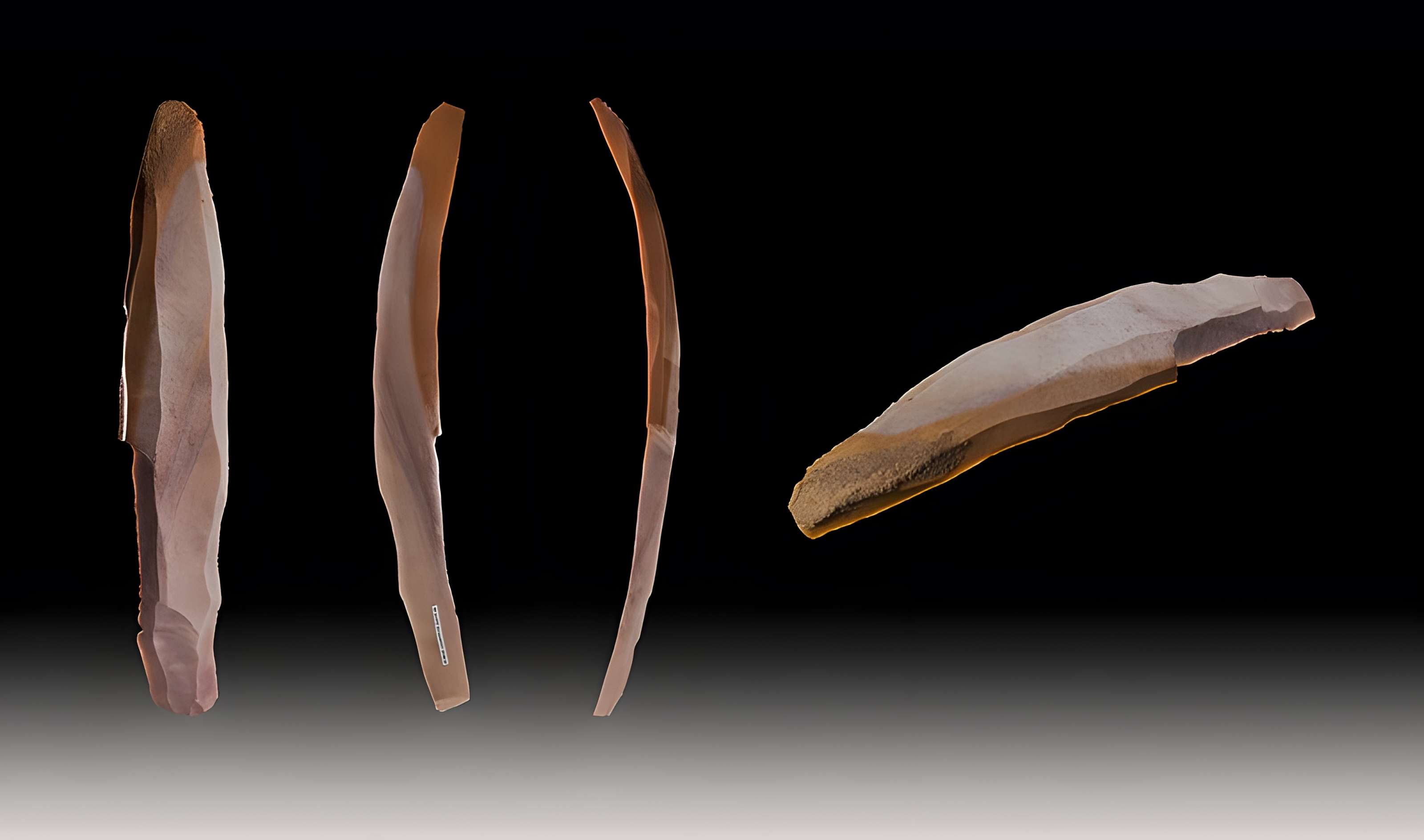 Grotte des Chevaux de Labastide