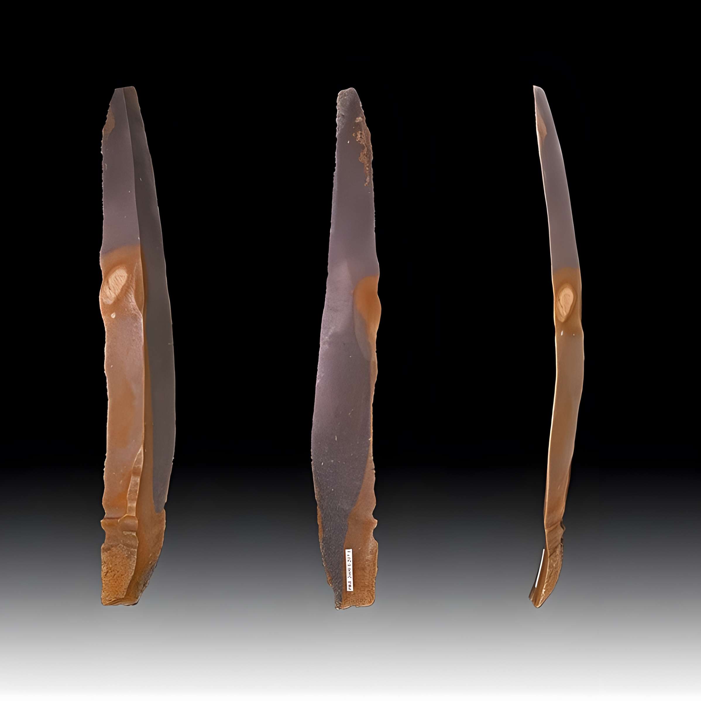 Grotte des Chevaux de Labastide