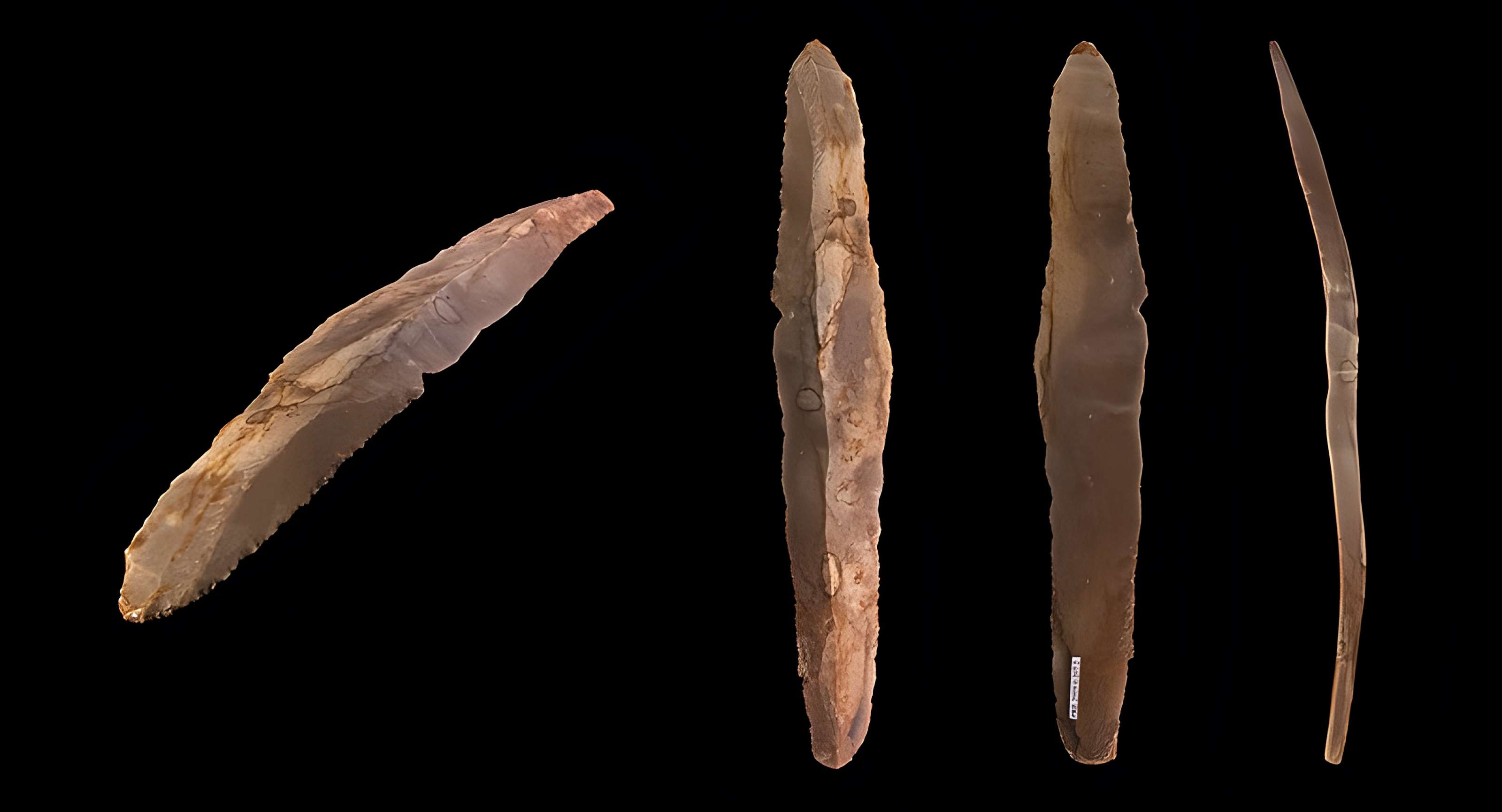 Grotte des Chevaux de Labastide