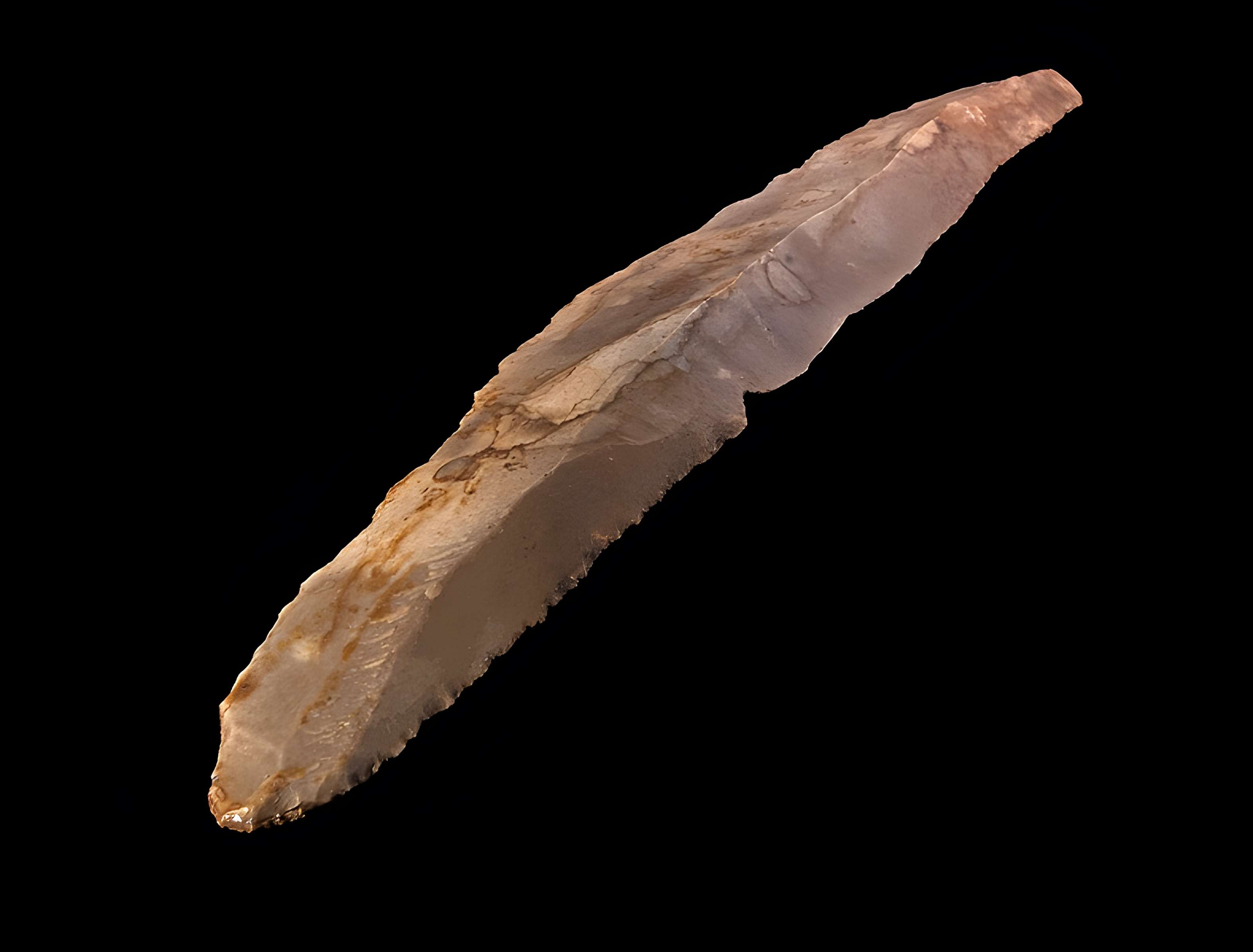 Grotte des Chevaux de Labastide