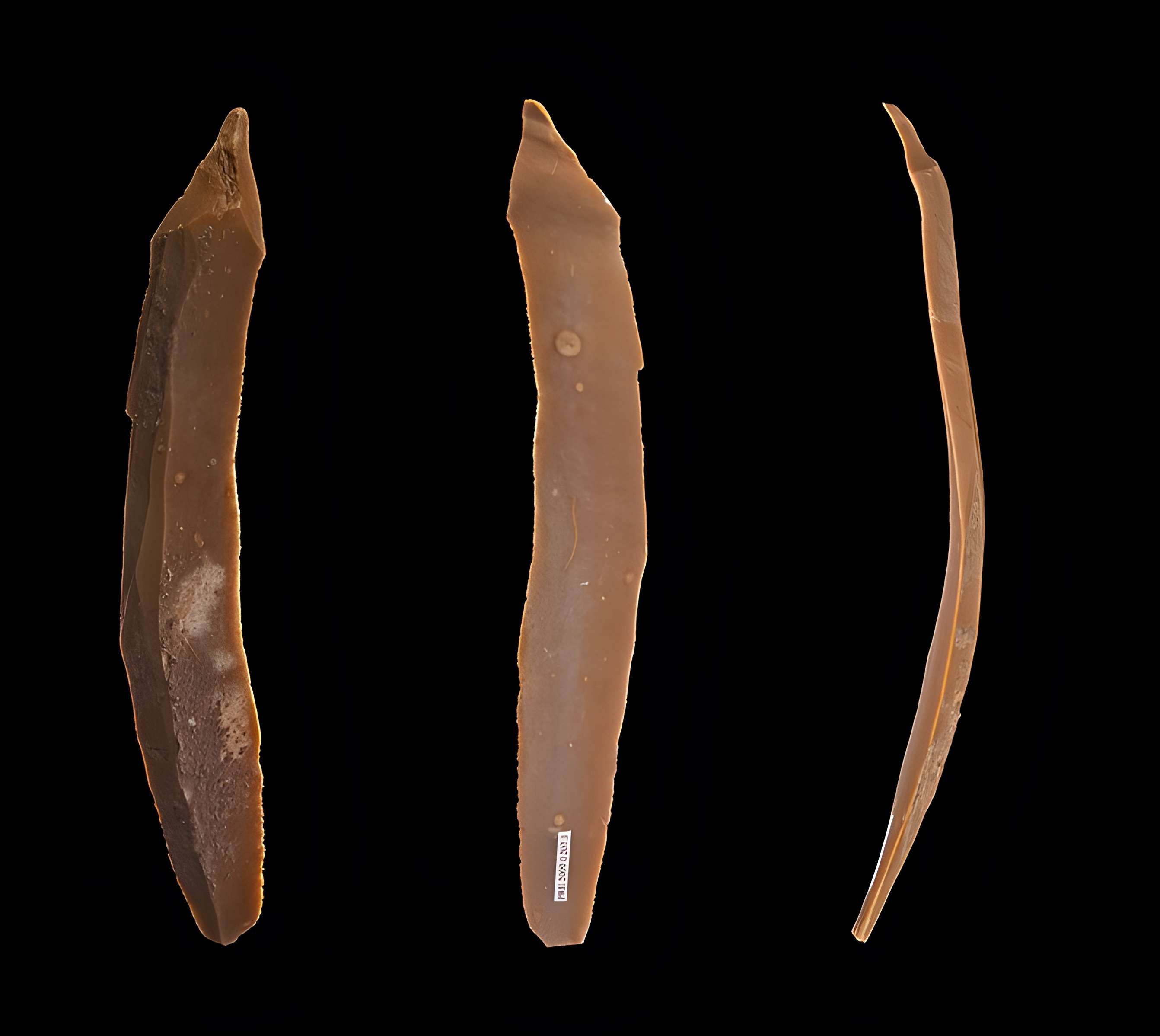 Grotte des Chevaux de Labastide