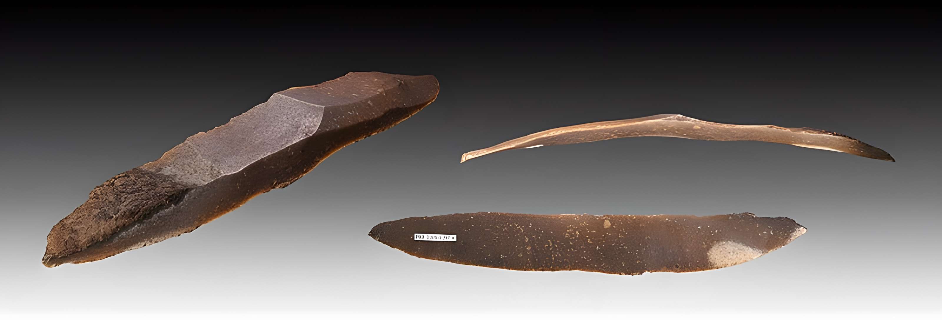 Grotte des Chevaux de Labastide