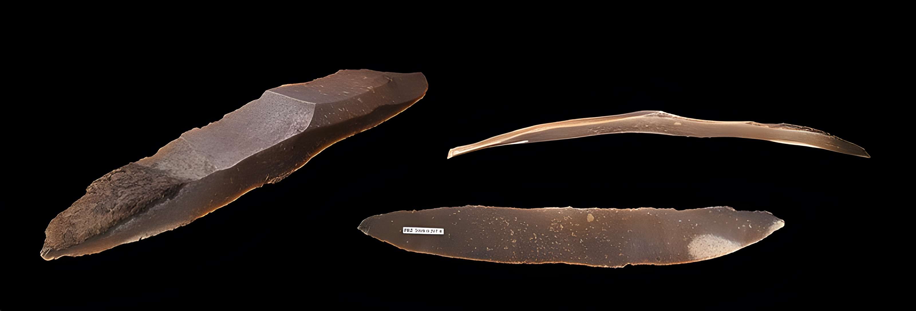 Grotte des Chevaux de Labastide