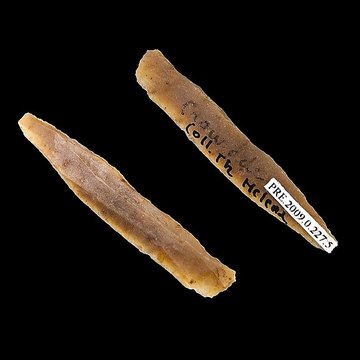 Grotte dhabitation et abri sous roche de la Crouzade à Gruissan