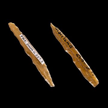 Grotte dhabitation et abri sous roche de la Crouzade à Gruissan