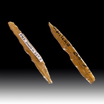 Grotte dhabitation et abri sous roche de la Crouzade à Gruissan