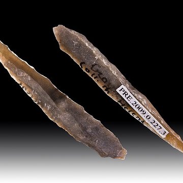 Grotte dhabitation et abri sous roche de la Crouzade à Gruissan