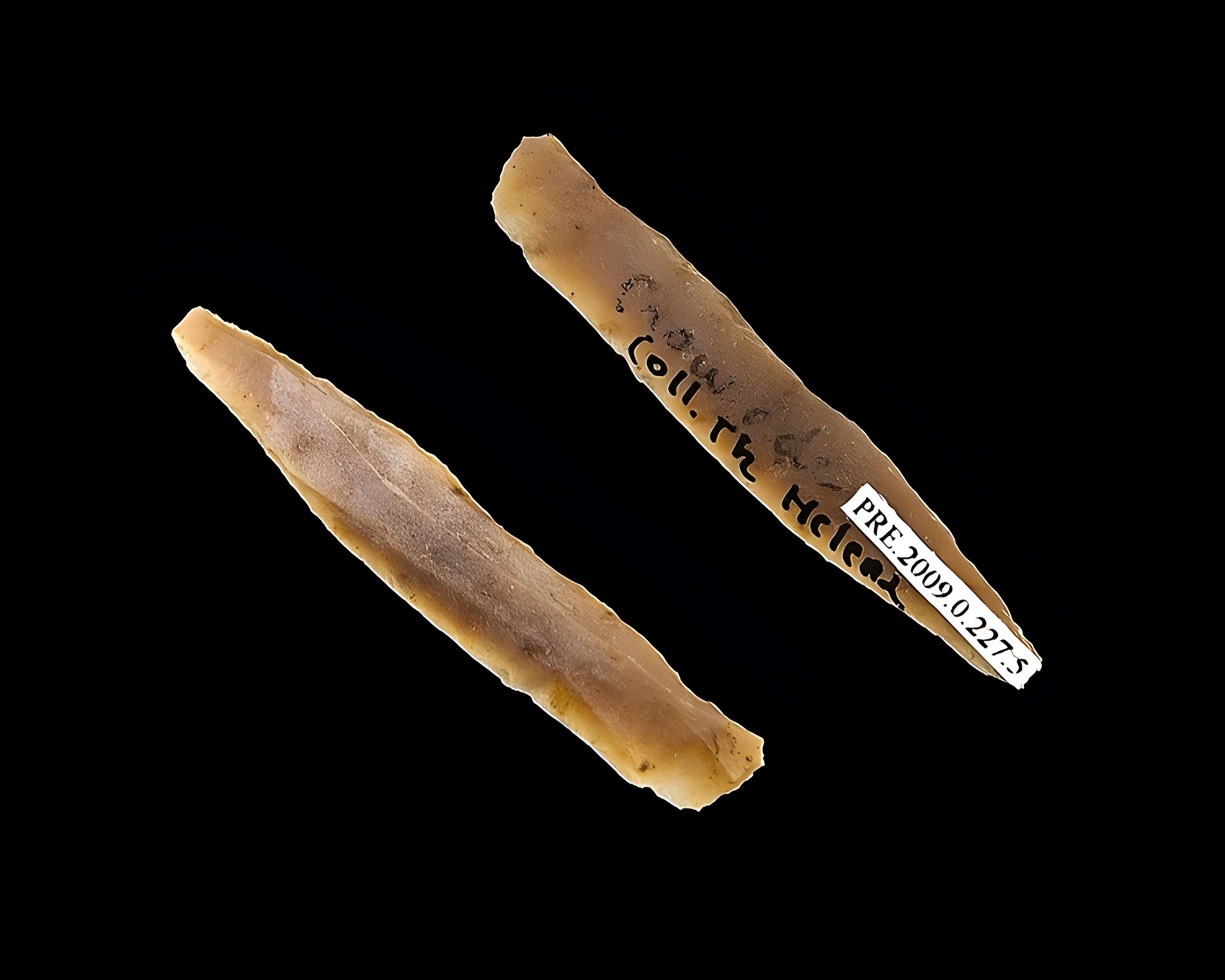 Grotte d'habitation et abri sous roche de la Crouzade à Gruissan