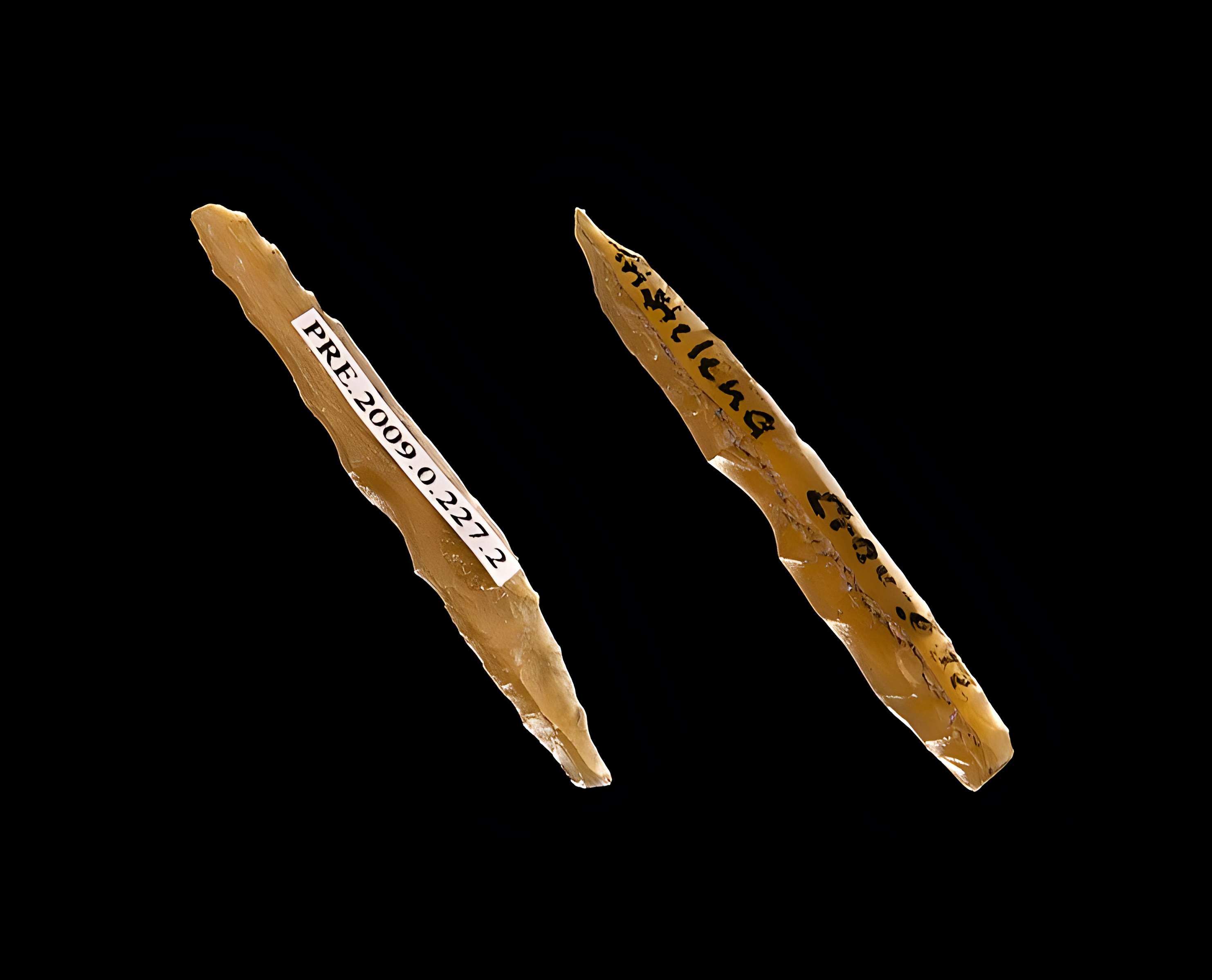 Grotte d'habitation et abri sous roche de la Crouzade à Gruissan