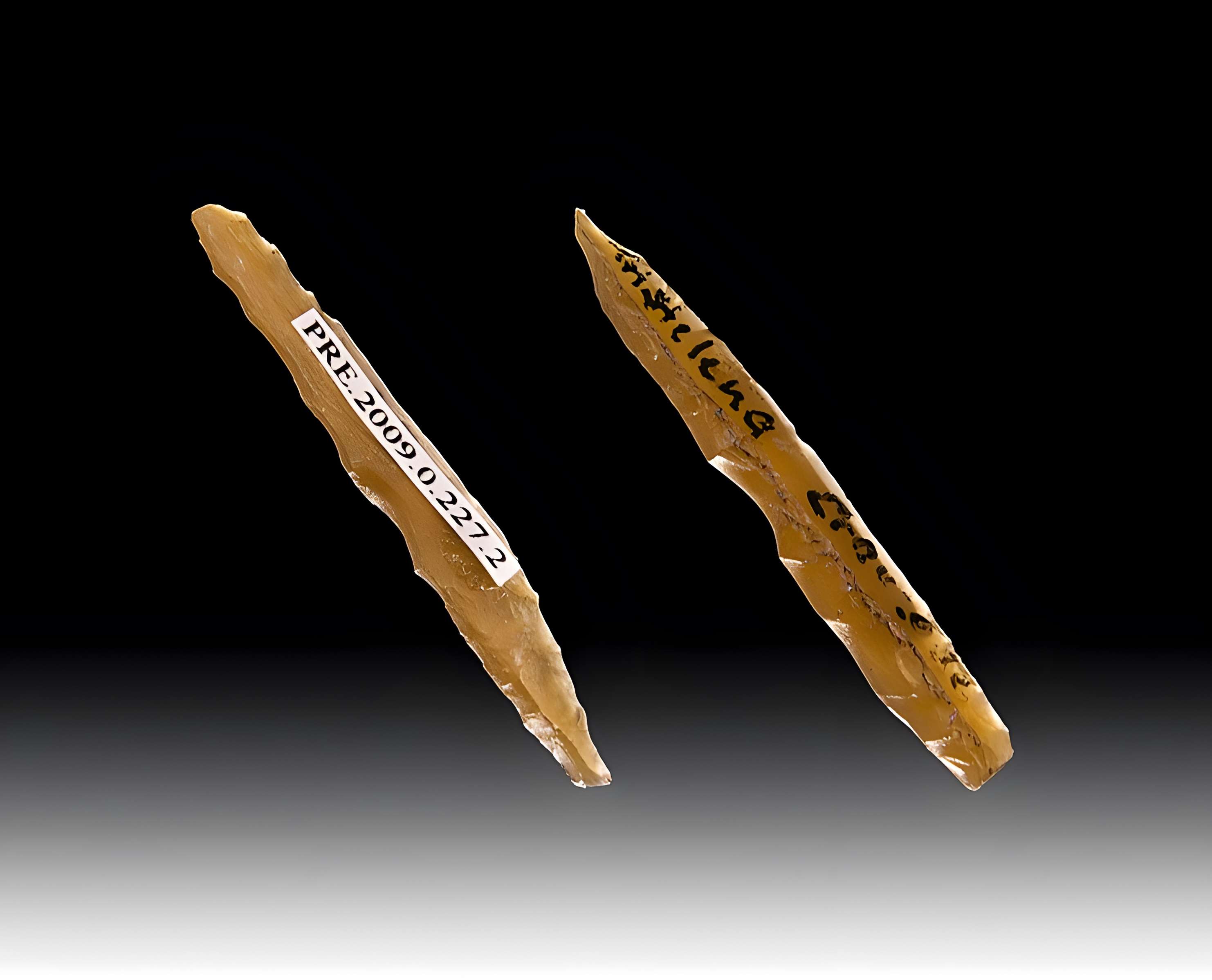 Grotte d'habitation et abri sous roche de la Crouzade à Gruissan