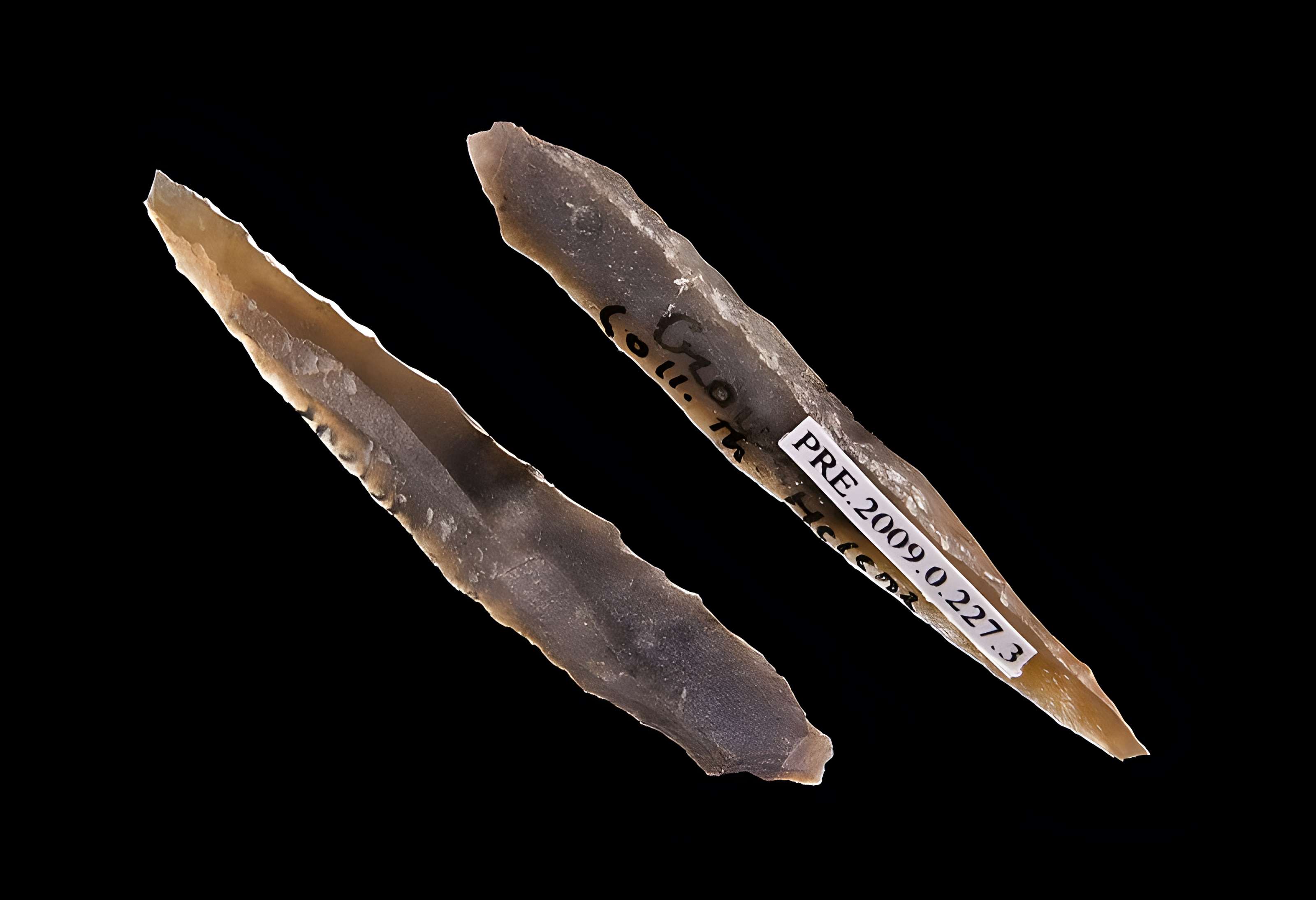 Grotte d'habitation et abri sous roche de la Crouzade à Gruissan