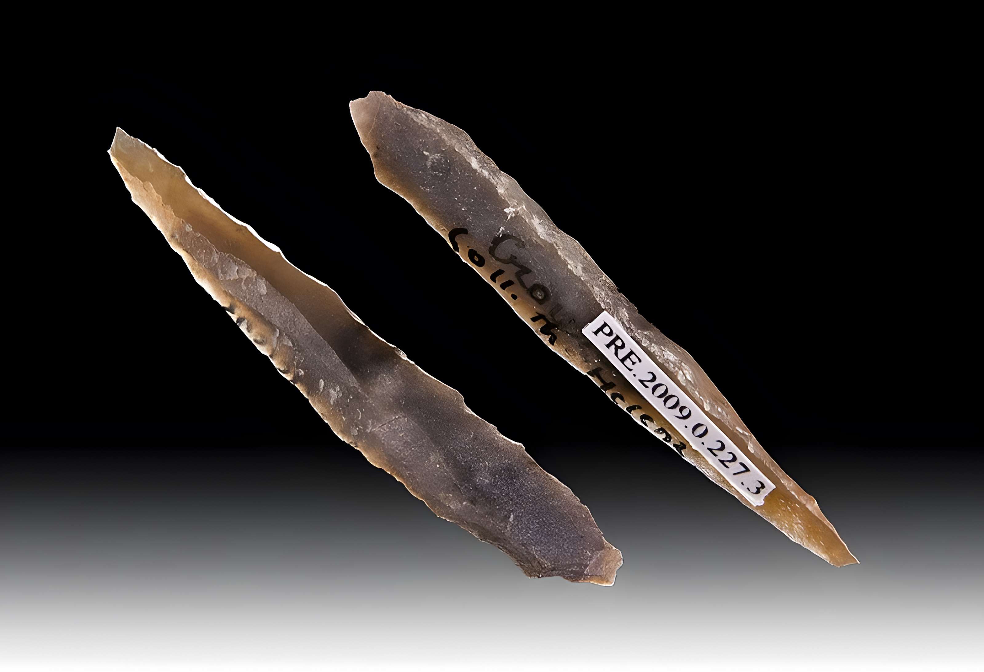 Grotte d'habitation et abri sous roche de la Crouzade à Gruissan