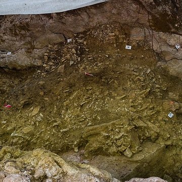 Grotte préhistorique dAurignac
