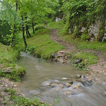 Grotte préhistorique dAurignac