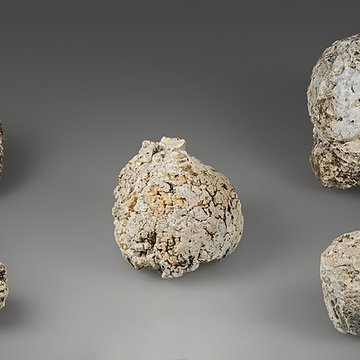 Grotte préhistorique dAurignac