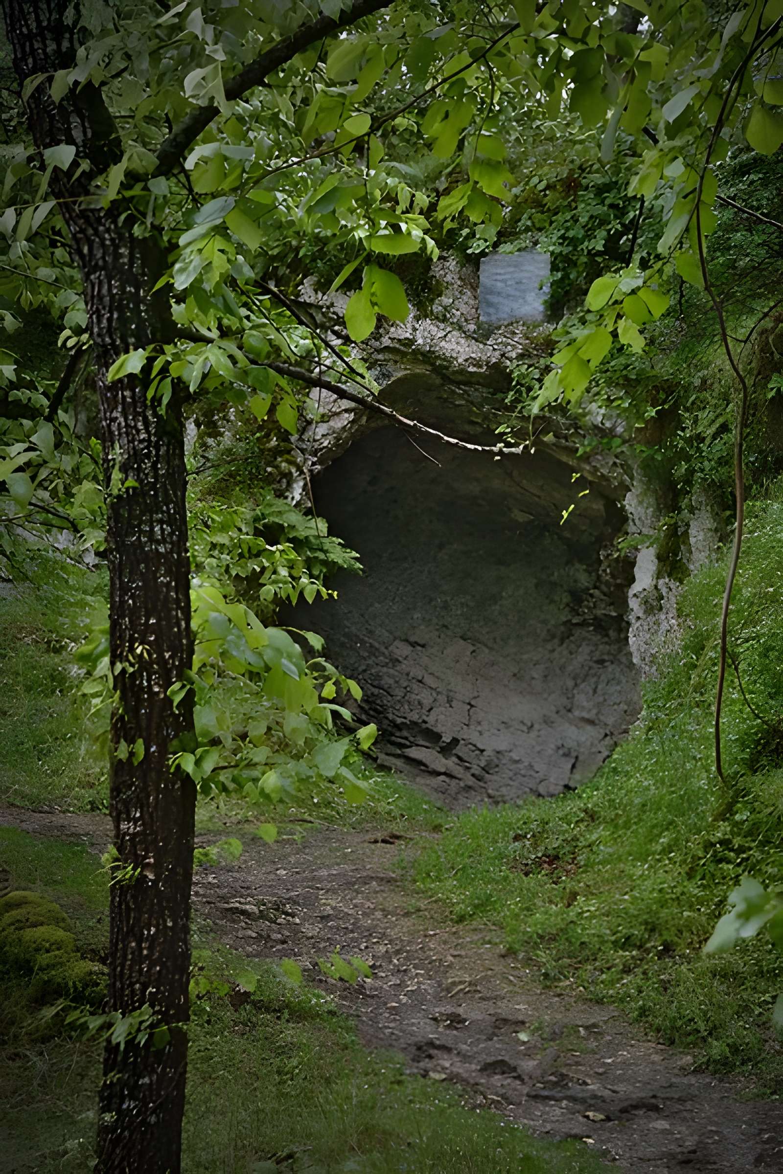 Grotte préhistorique d'Aurignac