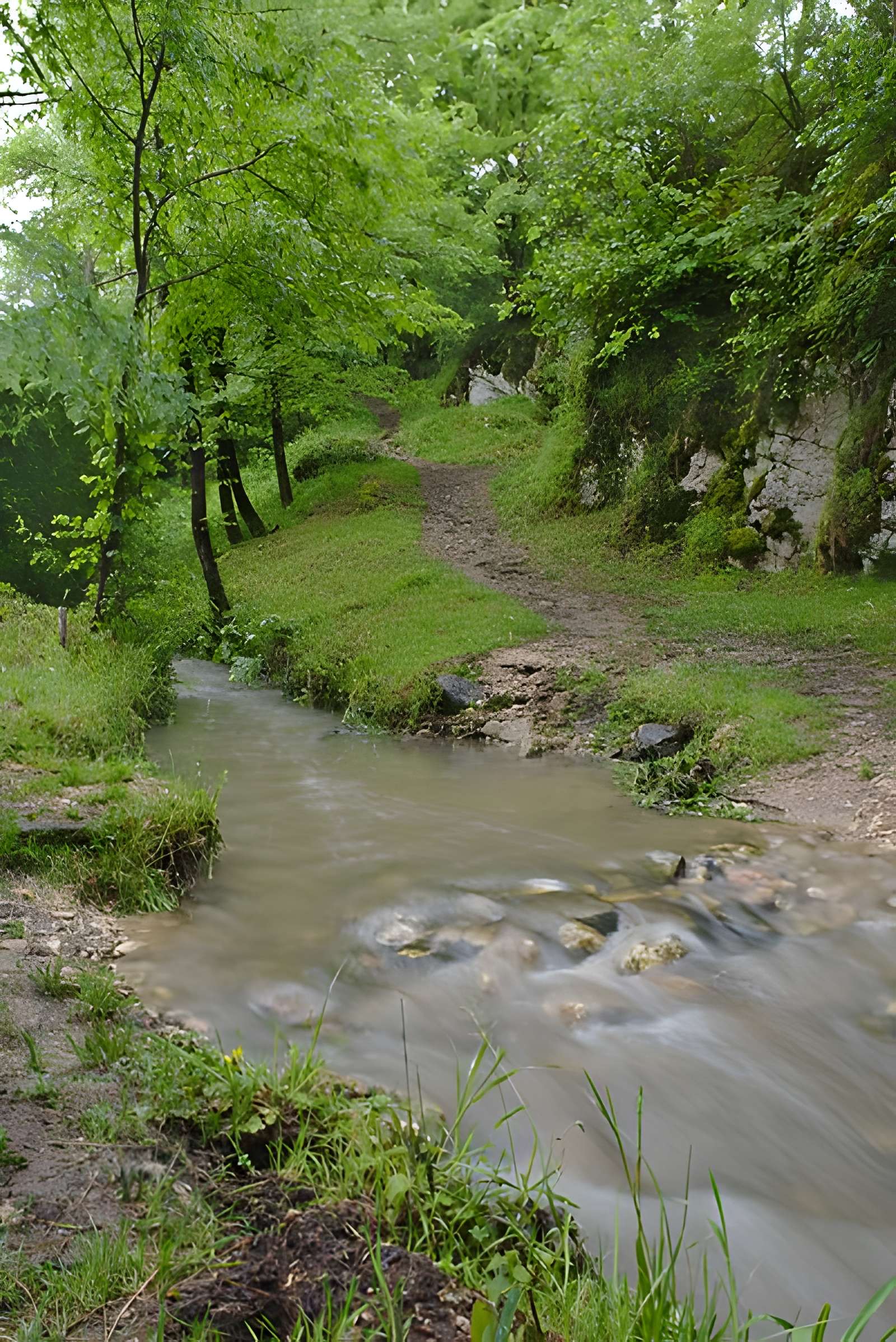 Grotte préhistorique d'Aurignac
