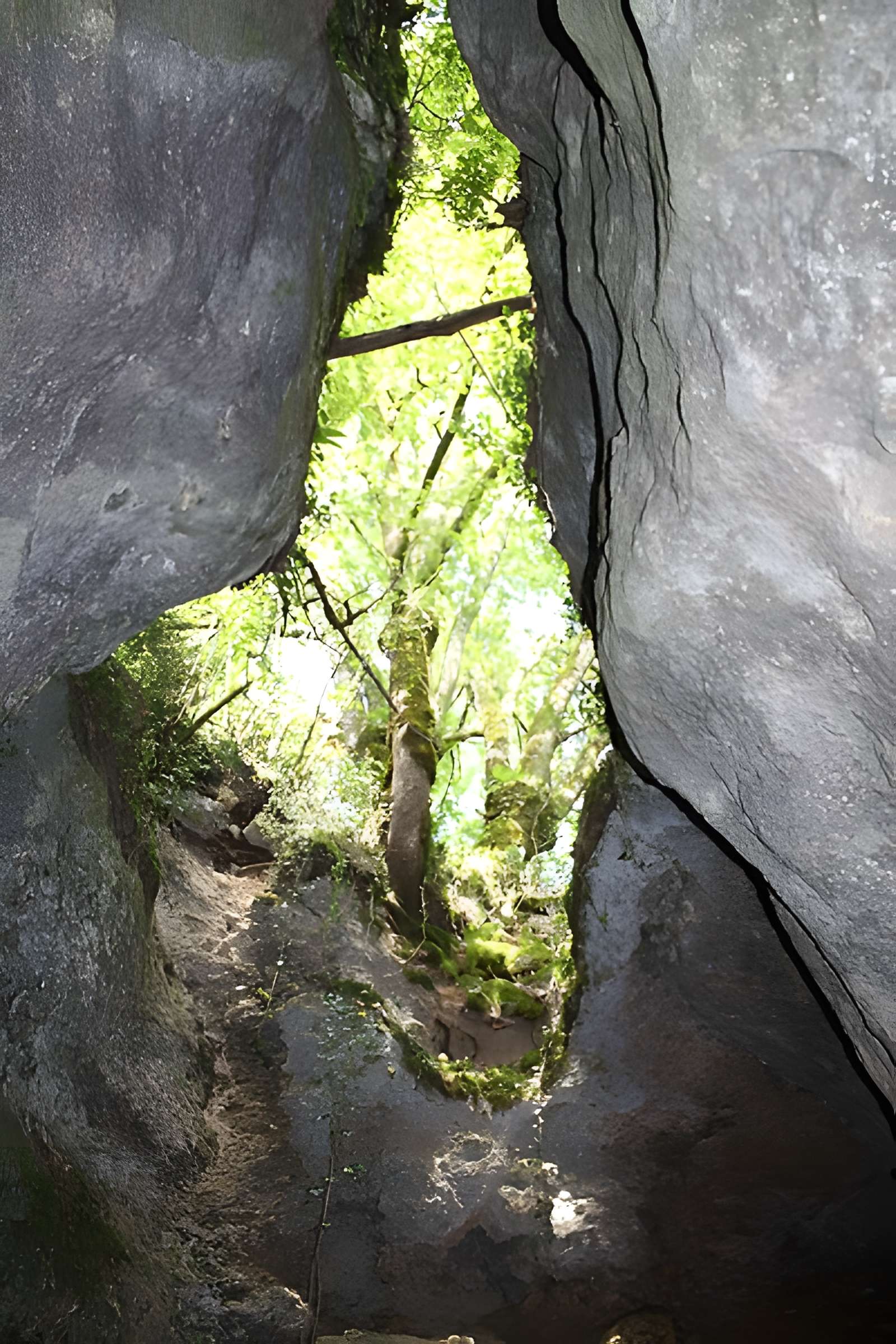 Grotte préhistorique des Bernoux à Bourdeilles