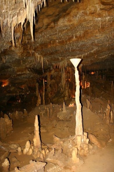 Photo de Grottes de Cougnac à Payrignac