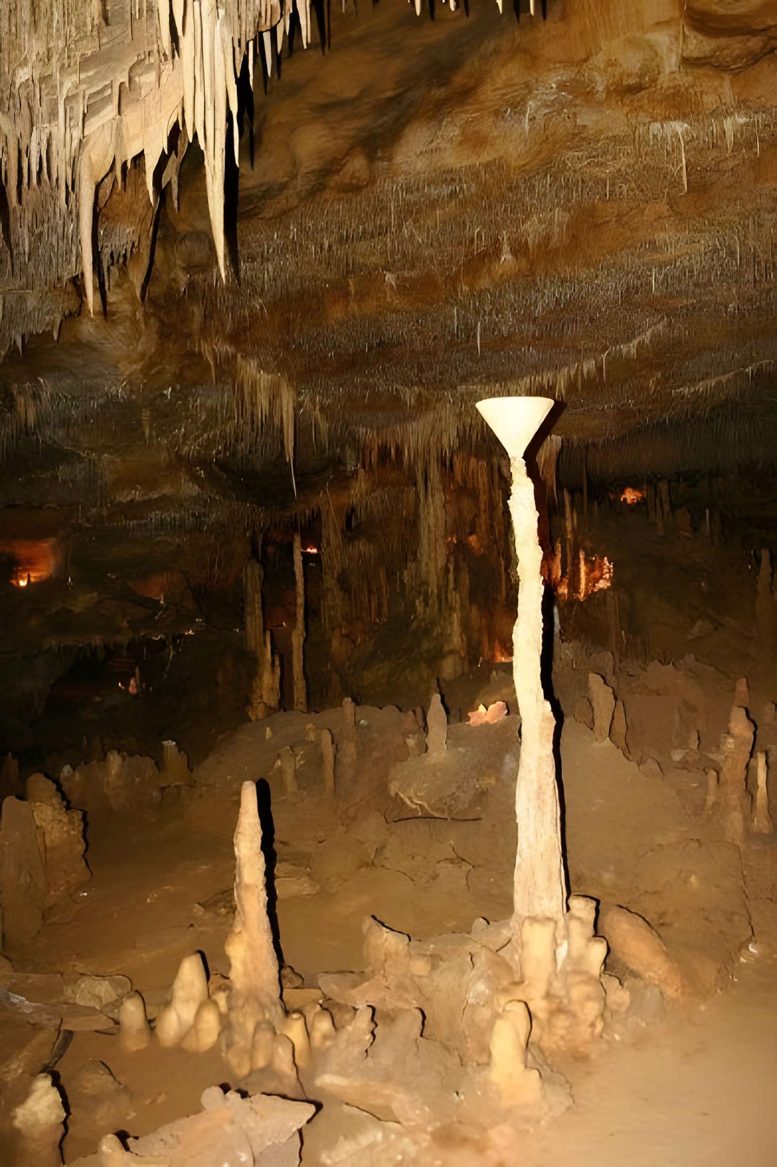Grottes de Cougnac à Payrignac 